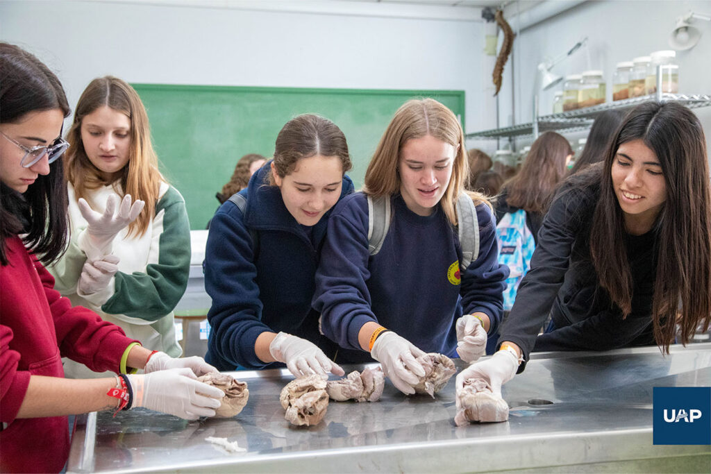 Estudiantes de secundaria participando de las actividades del laboratorio de medicina.