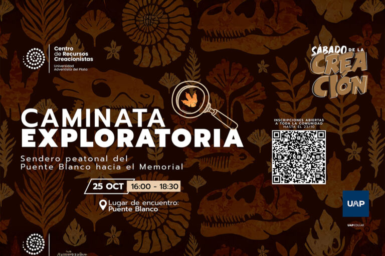 Explorar, aprender y celebrar la creación